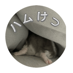 Hamster's daily life Stamp!!