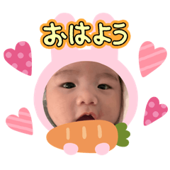 sakura_20251125174813