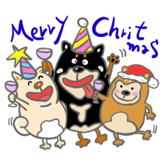 Nakatani.k_20251125175653