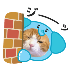 maple_20251125212631