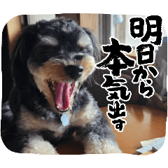 mayuyu_20251125213246