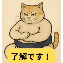 Funny Sumo Cats