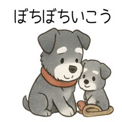 Schnauzer Parent & Pups Gentle Care