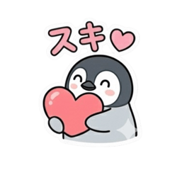 SUNNY_20251125080012