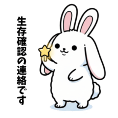 White Rabbit Confirming Survival 1