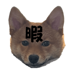 nanami_20251125161752