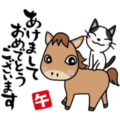 ハチワレ猫の年末年始