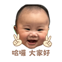 元寶跟大家說哈囉