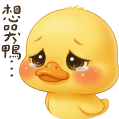 鴨鴨好想哭鴨～
