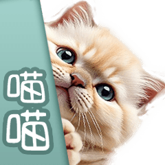 喵喵咪呀 2