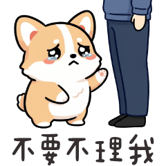 萌萌柯基✩求關注的小狗勾✩