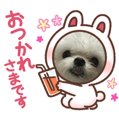 KoKo_20251125232533