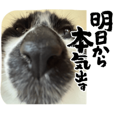 chaneri_20251125231425