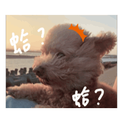 妮在跟我開玩鬧？