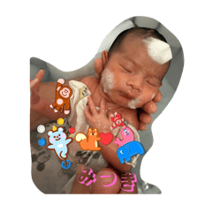 mitsuki_20251125190448