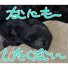 sachi_20251125215851