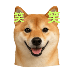 lemon_20251126065749