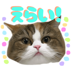 Monaka_20251126113026