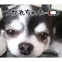 sachi_20251125214803