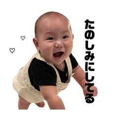 momonga_20251126010846