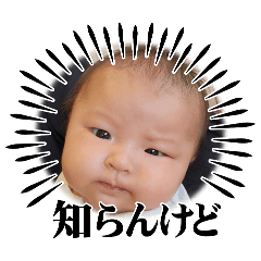 TERRY_20251126054713