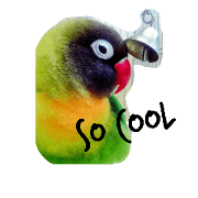 P-chan.