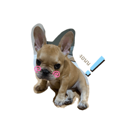 Nitrous_20251125211513