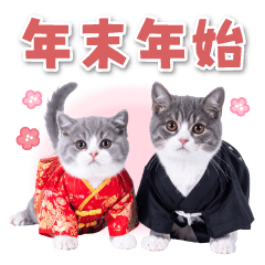 Realistic Cat Holiday Greetings Sticker