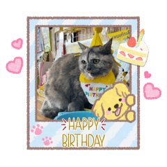 nong meowwww_20251126053823