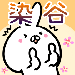 Someya usagi namae Sticker