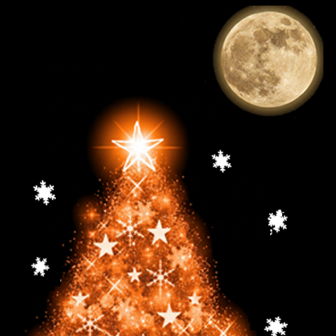 Merikuri & Happy New Year