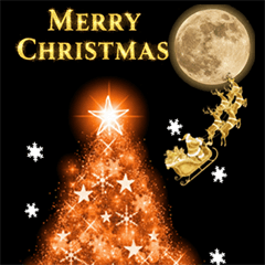 Merikuri & Happy New Year