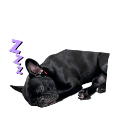 shimono_20251125172253