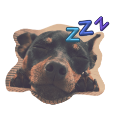 fcarccyeah_20251125220319