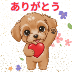 Cute Malpoo Puppy Everyday Phrases