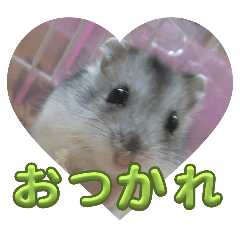 omochi_20251125220518