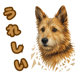 可愛い犬のブンタの日常挨拶