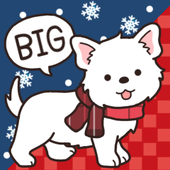 やさしいウエスティ『年末年始2026』3