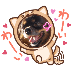 ロカヒ　　　Mahalo