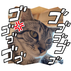 sachi_20251125222057