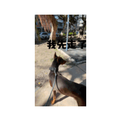 Kuma life1