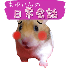 a hamster with eyebrows (Ver.2)
