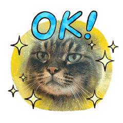 tomomi_20251126135737