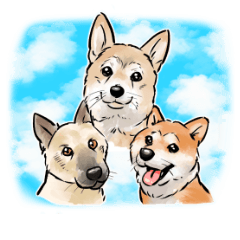 UCHINOKOstamp No. 107!