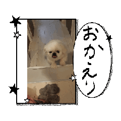 light_20251127071936