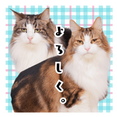 ノエル＆りおんスタンプ①