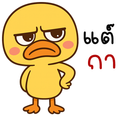 Bald duck (Kum-muang)