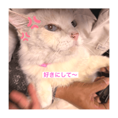 Asuka_20251126151513