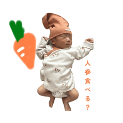 matsu_20251126183352