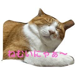 happy_20251126183006